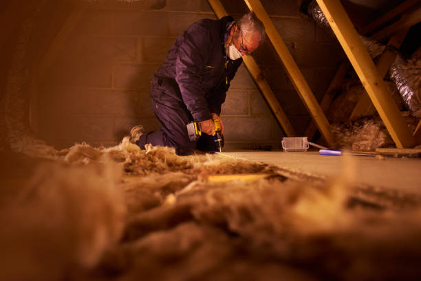 Best Cellulose Insulation in Island City, OR